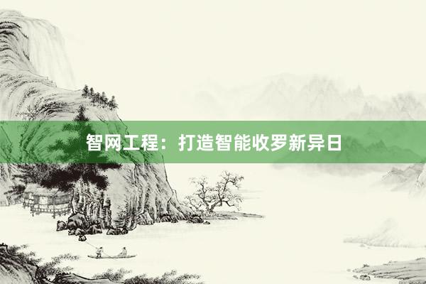 智网工程：打造智能收罗新异日