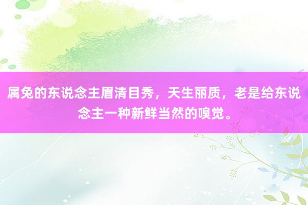 属兔的东说念主眉清目秀，天生丽质，老是给东说念主一种新鲜当然的嗅觉。